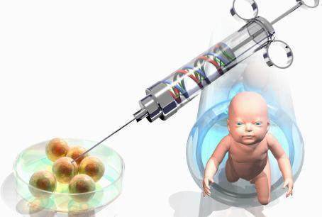 培养箱